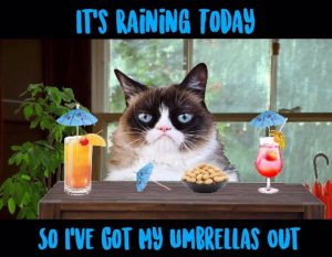 Stupid Bar Memes cd372aca9f645ca53a9472b16ae599c1