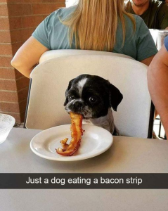 Stupid Bar Memes cf21d89ed653a10e