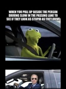 Stupid Bar Memes d181f78661f83e4d