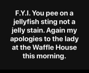 Stupid Bar Memes d2f0e5b569e66dc0