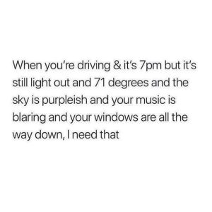 Stupid Bar Memes d49480fae6287bba