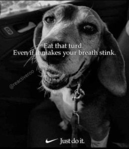 Stupid Bar Memes d4f1570bab6a5959