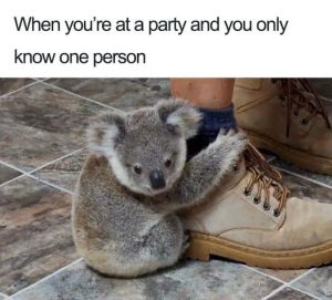 Stupid Bar Memes d7cd870fa8aa4ae2
