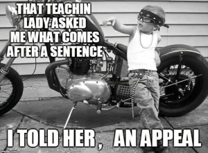 Stupid Bar Memes d8b754e055ee0924