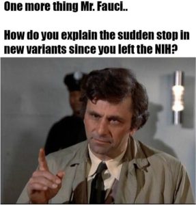 Stupid Bar Memes d968daebb2801448