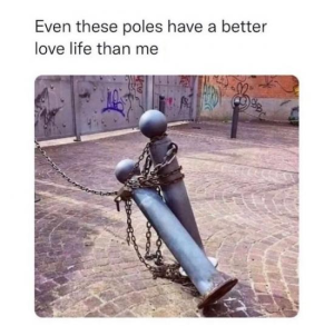 Stupid Bar Memes datingsmemess1