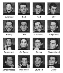 Stupid Bar Memes dce09b948fcb791d