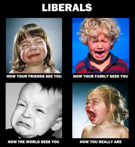 Stupid Bar Memes df48bb5c7e302b92