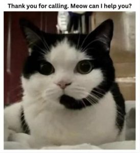 Stupid Bar Memes df731b539e16122e