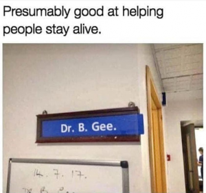 Stupid Bar Memes e085c7bf90da0d11
