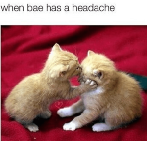 Stupid Bar Memes e188c9838abe2be3