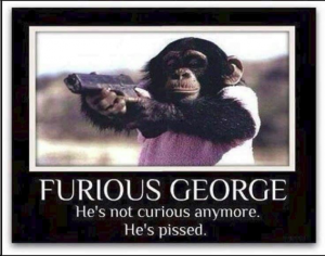 Stupid Bar Memes e25ab52d02aa746d
