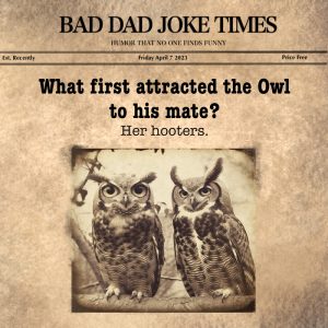 Stupid Bar Memes e3569a5d56edaf2f