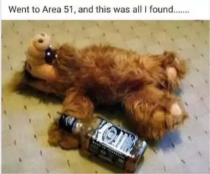 Stupid Bar Memes e5300fe77a1a46b0