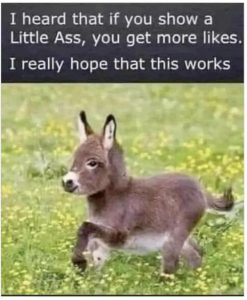 Stupid Bar Memes e5da0e9d97aebb62