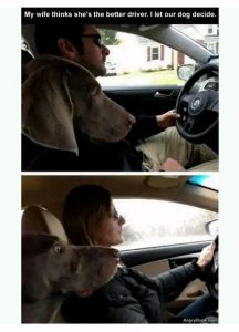 Stupid Bar Memes e71e221913b94a21