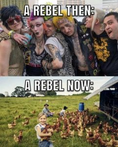Stupid Bar Memes ea3fabca687b828c