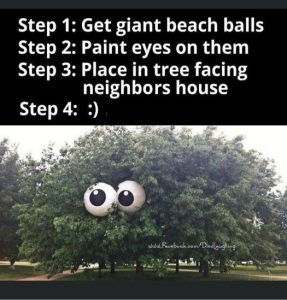 Stupid Bar Memes eb51fcf701d67937