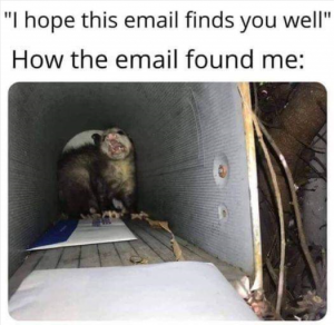 Stupid Bar Memes ebc3bbd39021d6ce