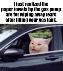 Stupid Bar Memes f32b11d14be8928a