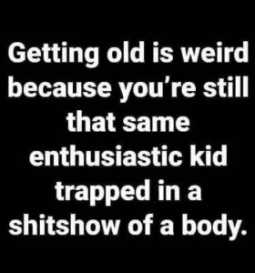 Stupid Bar Memes f3ba7e7f98954cab