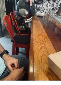Stupid Bar Memes f3edeb380584b21cf74a4f25b9deb621swidths600