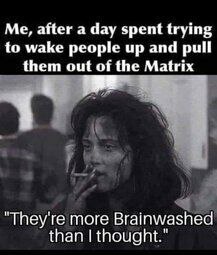 Stupid Bar Memes f59682e148ffaf7b