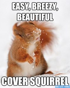 Stupid Bar Memes f687c4e47e575e1b