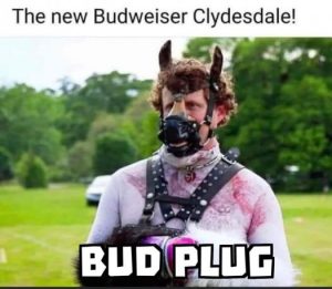 Stupid Bar Memes f6ba810150a463c8