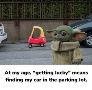 Stupid Bar Memes f78d08741f0ee926
