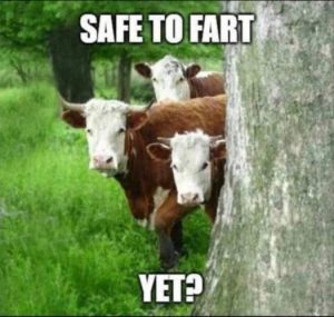 Stupid Bar Memes f8f6dd06bdce108a