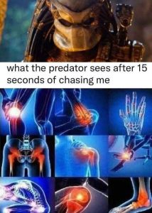 Stupid Bar Memes f94e9691a2b24406