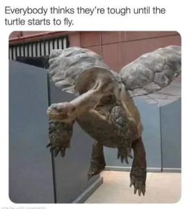 Stupid Bar Memes fIspsSz