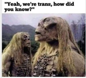 Stupid Bar Memes fb5a126a426551b9
