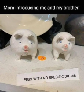 Stupid Bar Memes funnyspicss640shighs02s1