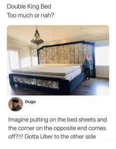 Stupid Bar Memes funnyspicss640shighs03