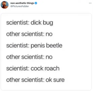 Stupid Bar Memes funnystweetss18s1