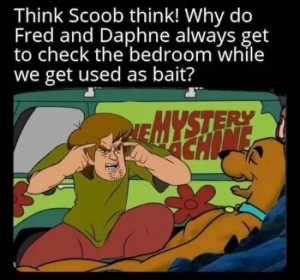 Stupid Bar Memes fwNXsBF