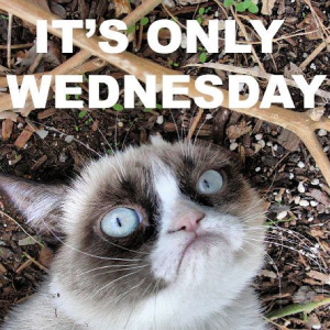 Stupid Bar Memes gc112wednesday