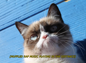 Stupid Bar Memes gce21654