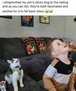 Stupid Bar Memes morningspicss3765s640shighs06