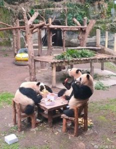 Stupid Bar Memes morningspicss3769s640shighs28