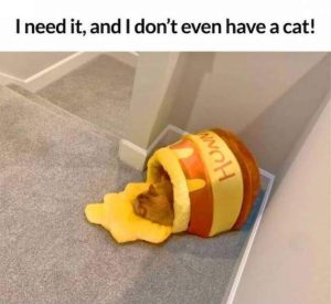 Stupid Bar Memes morningspicss3774s640s09
