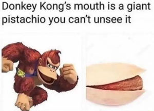 Stupid Bar Memes thoughtsswtfs14