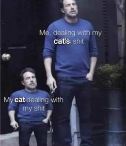 Stupid Bar Memes yourscatssssss