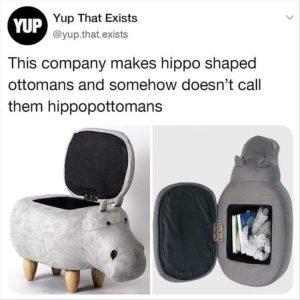 Stupid Bar Memes yoursottoman