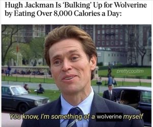 Stupid Bar Memes yousbulkingsup