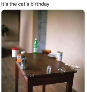 Stupid Bar Memes youswantedsasbirthday