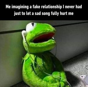 Stupid Bar Memes zsmemess73