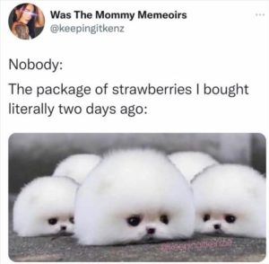 Stupid Bar Memes zzsmemess21